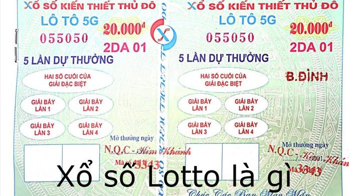 xổ số lotto là gì